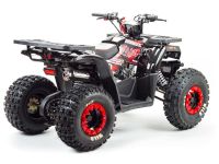 Квадроцикл MOTOLAND Wild 150