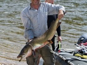Сплав, отдых и рыбалка на реке Амга. Маршрут: Верхняя Амга - Оннес (390 км.)