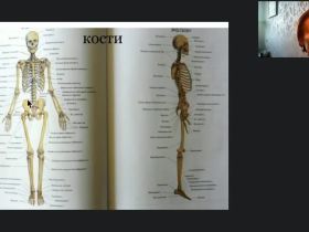 Международный вебинар «Общие правила организации движений ослабленных и парализованных пациентов»