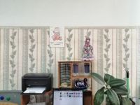 Старотюринская сельская библиотека