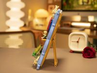 The Little Prince 86314 Конструктор Полёт Маленького Принца над полем