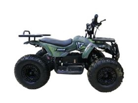 Электроквадроцикл MOTAX Grizlik X16 New E1000 Big Wheel