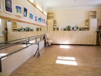 Городской клуб детского творчества «Романтик» Саратова