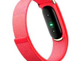Фитнес-браслет Google Fitbit Air (Berry)