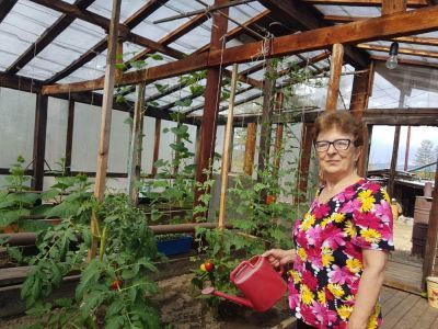 В Тополином собрали первый урожай овощей