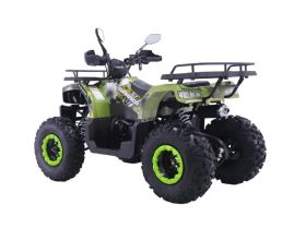 Квадроцикл YACOTA Warrior 200 Pro