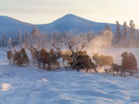 Арктическая автоэкспедиция "Индигирка". Якутск – Оймякон – Чокурдах – Русское Устье