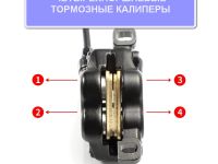 Stels Тормоз диск. гидр. Logan HD-M220 комплект 800/1400mm, цвет Черный