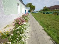 Культурно-досуговое объединение «Свет очага» Новочановского сельсовета