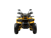 Квадроцикл BISON Track X PRO