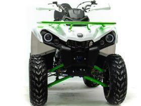 Квадроцикл MOTOLAND 200 Shark (2021 Г.)