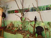 Прилузский районный краеведческий музей им. И. А. Яборова