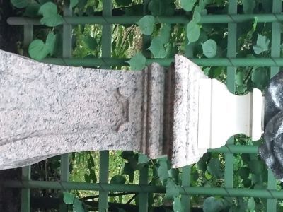 Бюст женщины в серой драпировке