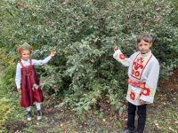 Михайловский сельский клуб