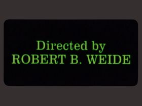 Патч "Robert B. Weide", Stabwoodstone