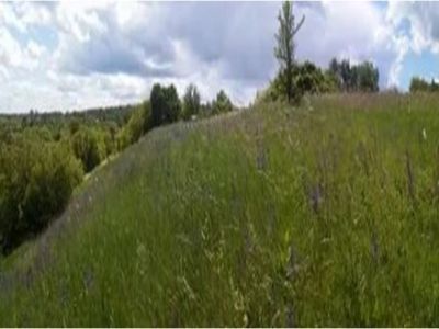 Братская могила советских воинов