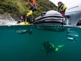 4х-тактный лодочный мотор HONDA BF20 SHSU