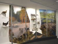 Сивинский краеведческий музей