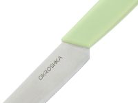 Нож кухонный для стейка Okroshka Salad 12 см, сталь 5cr15mov, рукоять пластик, зеленый