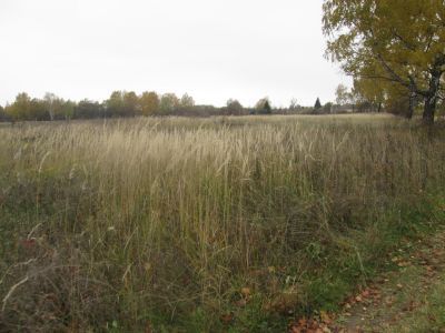 Памятное место, где в ноябре 1941 г. А.Е.Гребневым была создана подпольная партийная группа