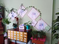 Никольская сельская библиотека