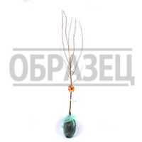 Абрикос Жигулевский сувенир (подвой абрикос) (в сетке)