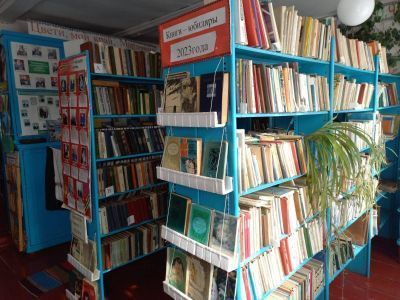 Шигонская сельская библиотека