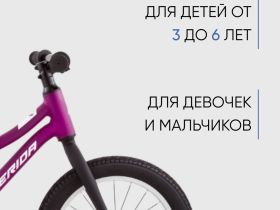 Детский велосипед Merida Matts J.16+, год 2023, цвет Фиолетовый-Белый