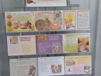 Новленская сельская библиотека