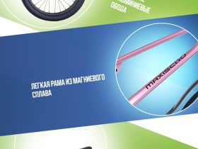 Детский велосипед Maxiscoo Shark Sport 16, год 2025, цвет Розовый