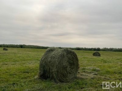 В Якутии пройдет «День поля — 2024»