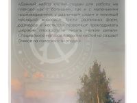 Набор кистей Pinax MASTERS CHOICE SET V для масла 11 шт, ассорти