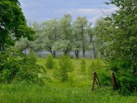 Природный парк «Воскресенское Поветлужье»