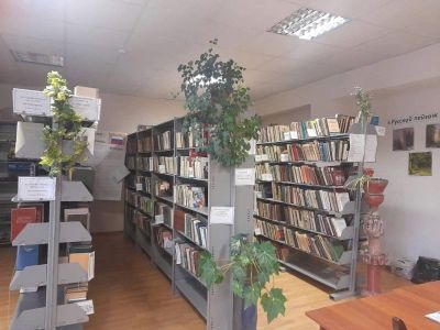Библиотека села Чапаевского