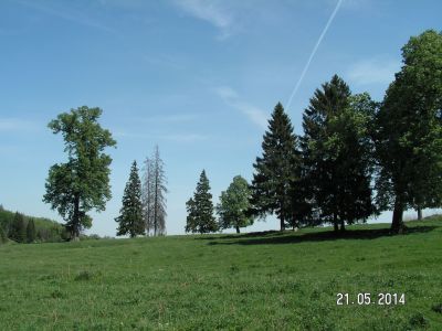 Священная роща