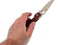 Складной нож Steelclaw Боец-3, сталь D2, рукоять G10, бордовый