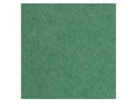 Бумага для акварели Лилия Холдинг лист 200 г Зеленый А2