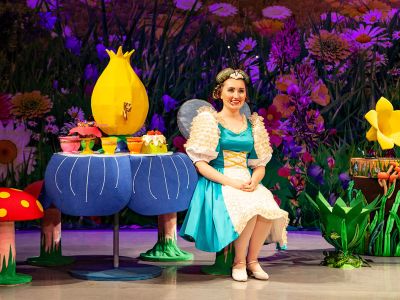 Билеты на День рождения Мухи (ДК железнодорожников) / Театр | Афиша | ИнфоТаймс