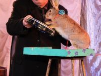 Московский театр иллюзии. Основная сцена