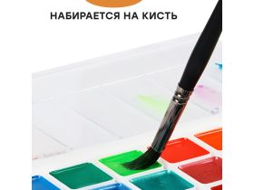 Набор акварели Гамма "Оранжевое солнце", медовая, 24 цветов (8 перламутр.+ 8 флуор.+ 8 классич.), бе
