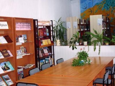 Шешкарская сельская библиотека