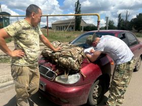 Более 180 посылок доставили за неделю военнослужащим из Якутии в зоне СВО