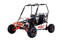 Багги LUCKY DUCK Gokart UVX 200