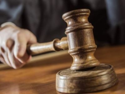 Администрация Нерюнгри выплатила компенсацию ребенку за нападение стаи бродячих собак