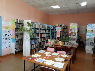 Детская библиотека-филиал № 8 с. Баляга