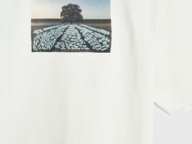 Футболка с принтом и вышивкой, Белый