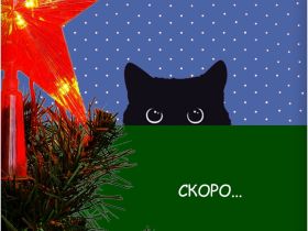 Комплект наклеек Krutoff «Новый год» (4 шт.)