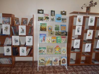 Библиотека № 6 г. Читы