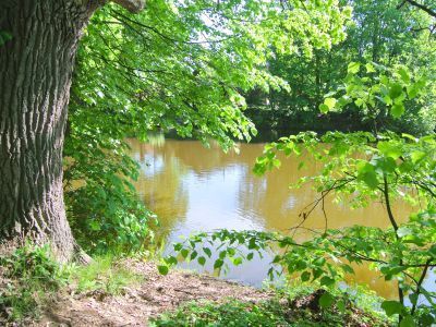 Парк с прудами