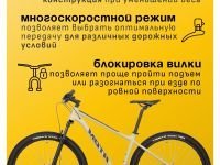 Горный велосипед Atom Bion Nine 20, год 2024, цвет Коричневый, ростовка 18.5